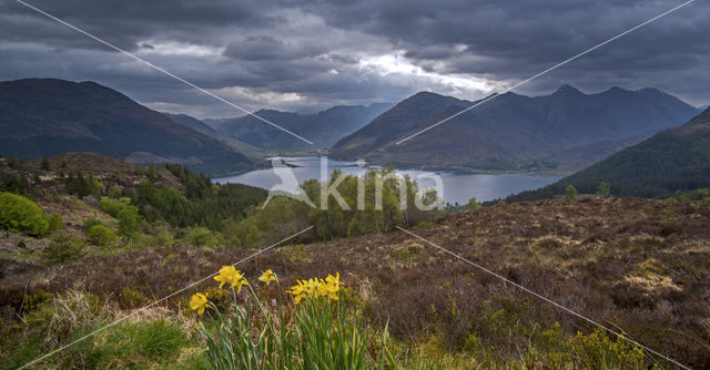 Five Sisters of Kintail