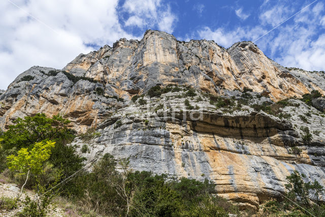 Gorges du Verdon