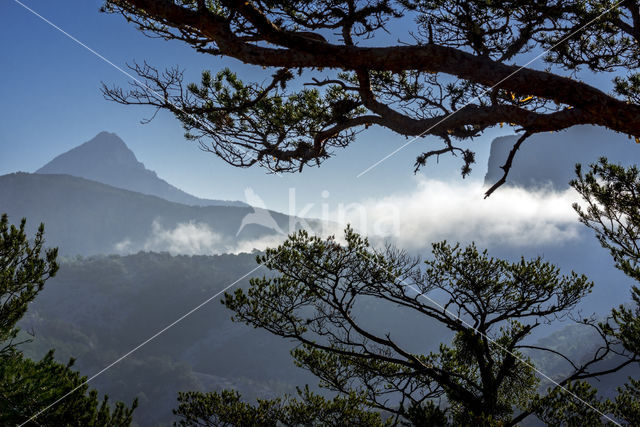 Parc naturel régional du Verdon