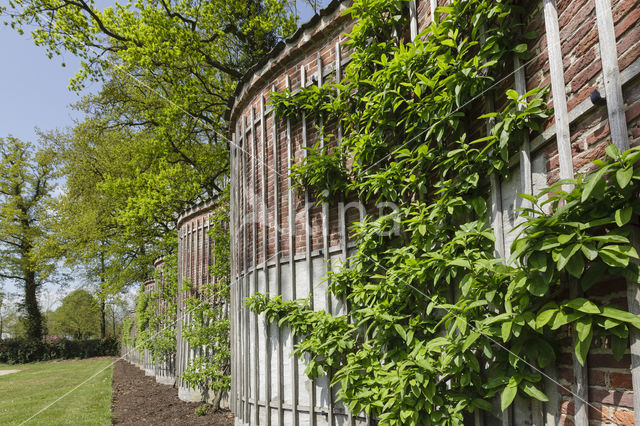 Landgoed Schaep en Burgh