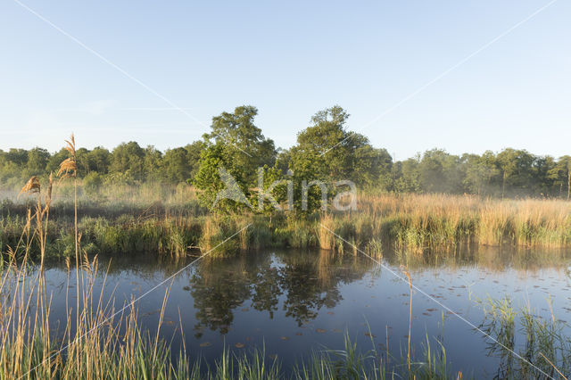 Kortenhoefse plassen