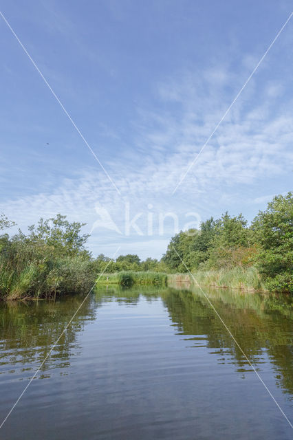 Kortenhoefse plassen