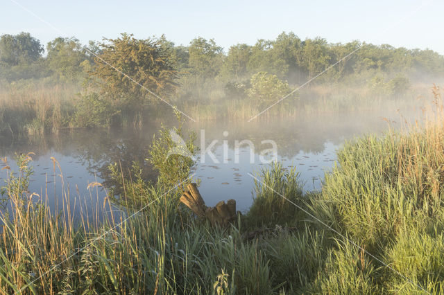 Kortenhoefse plassen