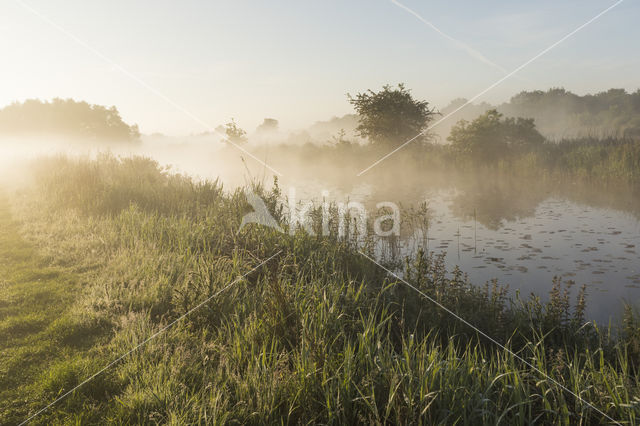 Kortenhoefse plassen