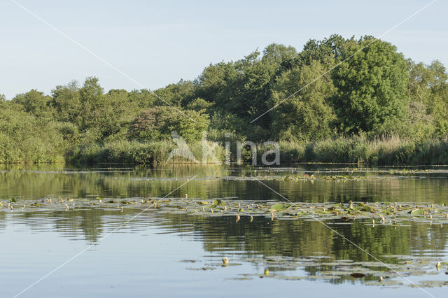 Kortenhoefse plassen