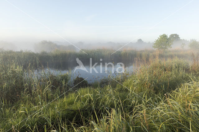 Kortenhoefse plassen