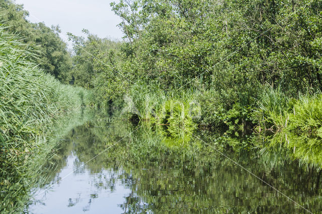 Kortenhoefse plassen