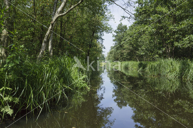 Kortenhoefse plassen