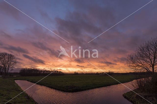 Voormalige vuilstort Groenewoud