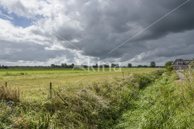 Buitenplaats Groenewoud