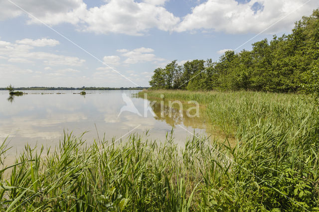 Kortenhoefse Plassen