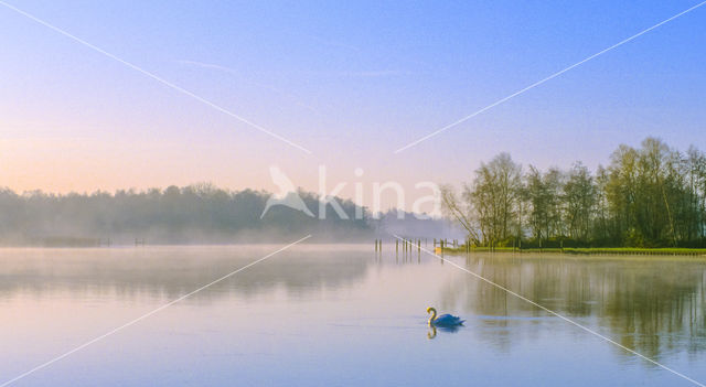 Kortenhoefse Plassen