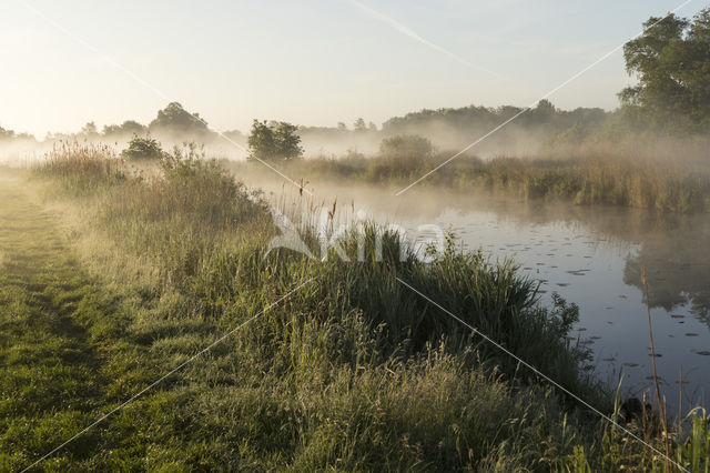 Kortenhoefse plassen