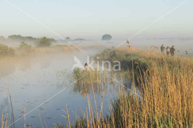 Kortenhoefse plassen