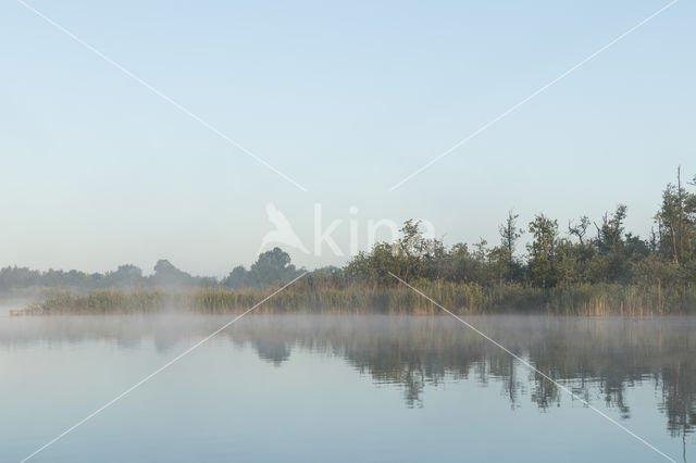 Kortenhoefse plassen