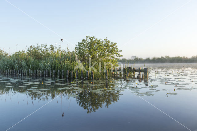 Kortenhoefse plassen