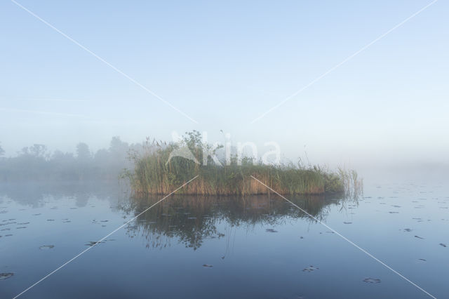 Kortenhoefse plassen