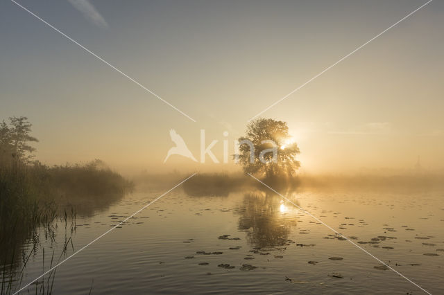 Kortenhoefse plassen