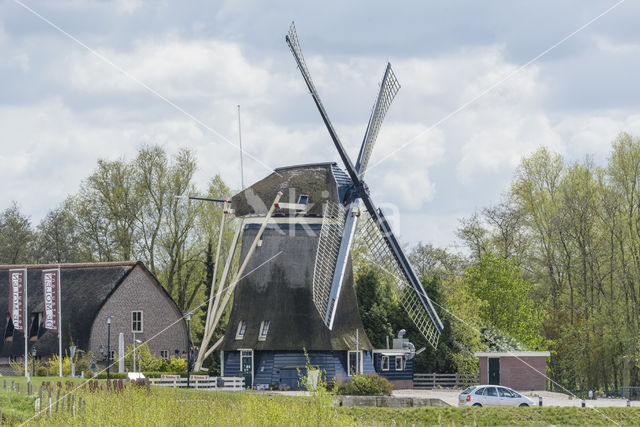 Molen Hollandia