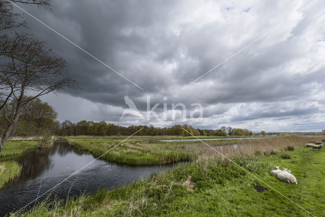 Ankeveense polder