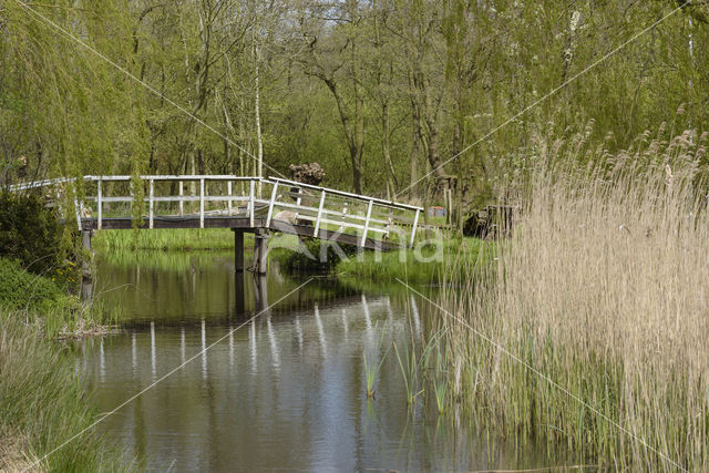 Ankeveense polder