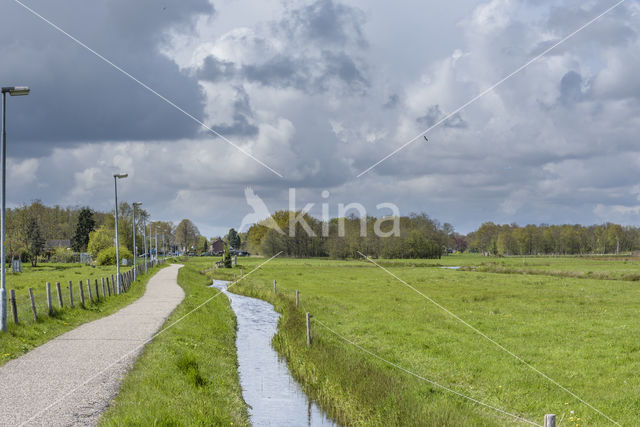 Ankeveense polder