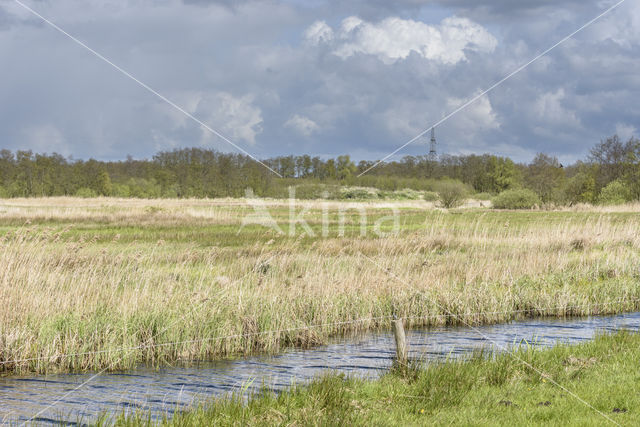 Ankeveense polder