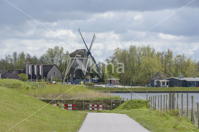 Molen Hollandia