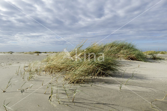 Nationaal park Schiermonnikoog