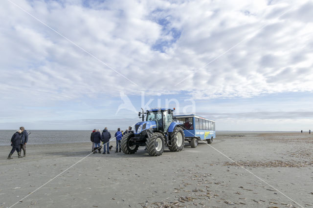 National Park Schiermonnikoog