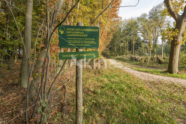 Natuurbrug Laarderhoogt