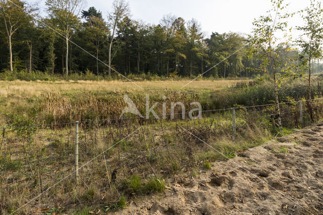 Natuurbrug Laarderhoogt