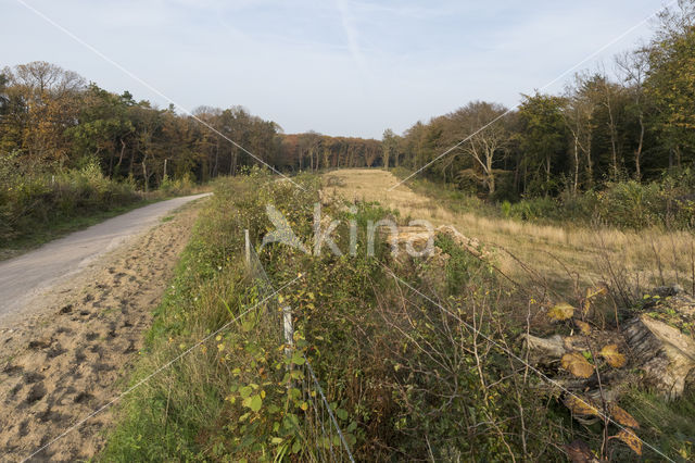 Natuurbrug Laarderhoogt