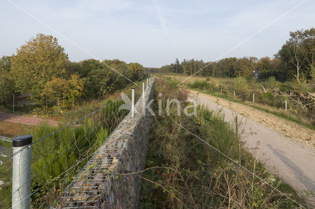 cycle path