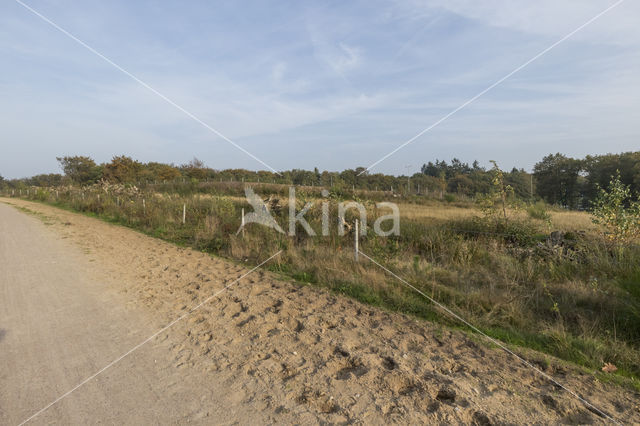 Natuurbrug Laarderhoogt