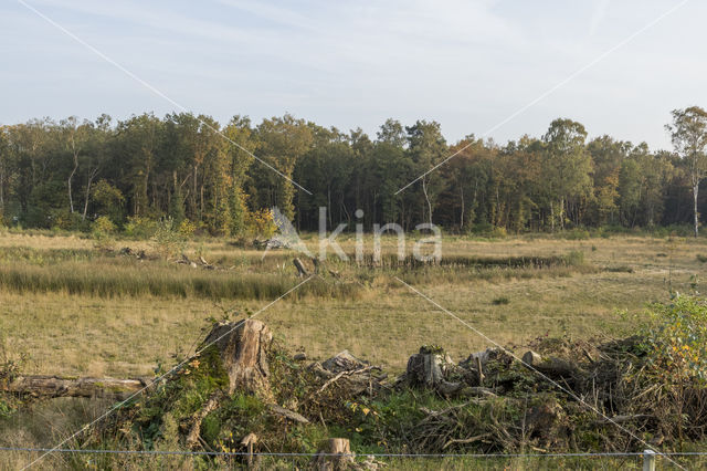 Natuurbrug Laarderhoogt