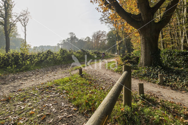 cycle path