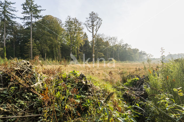 Natuurbrug Laarderhoogt