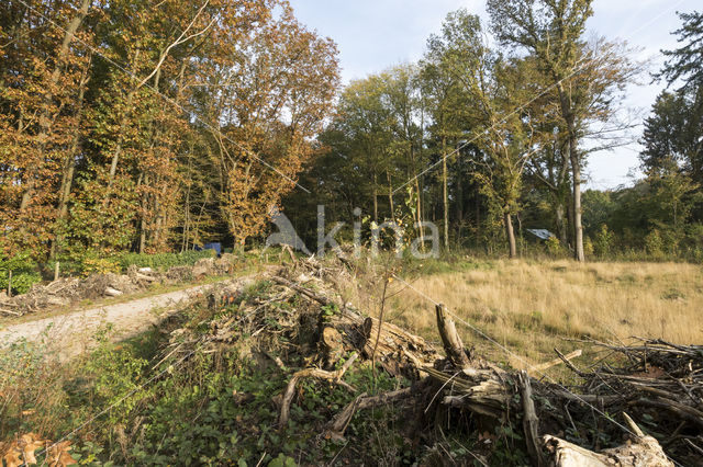 Natuurbrug Laarderhoogt