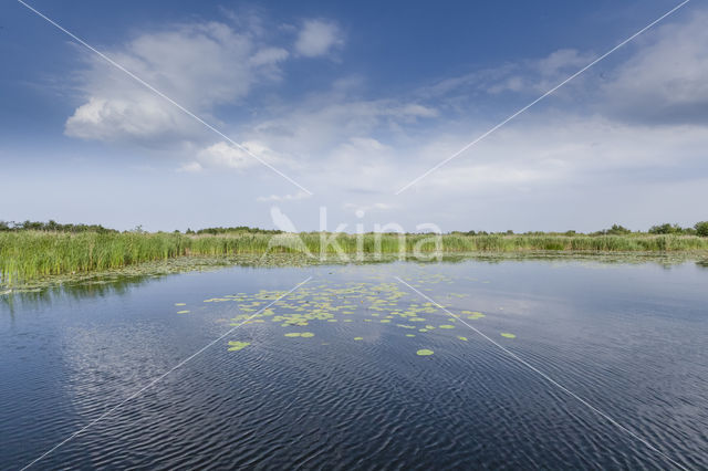 Naardermeer