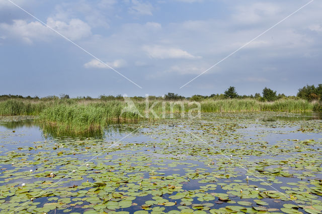 Naardermeer