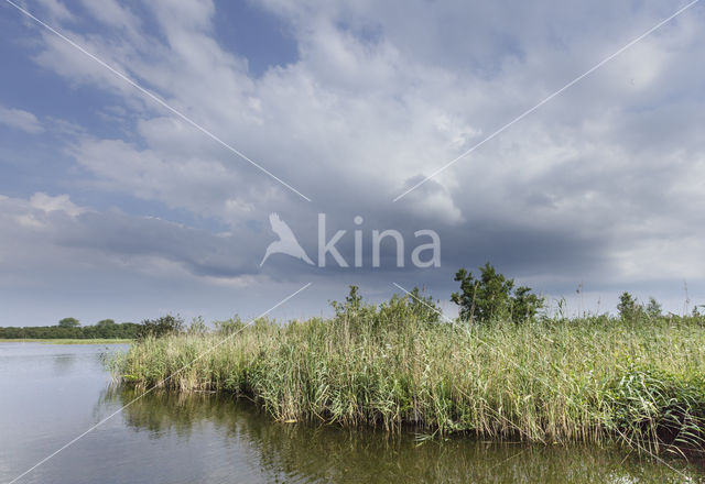 Naardermeer