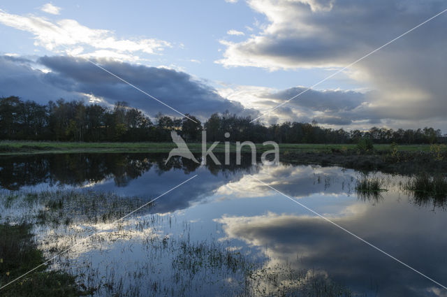 Lagieskamp Naardermeer