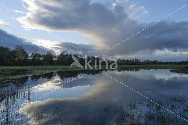 Lagieskamp Naardermeer