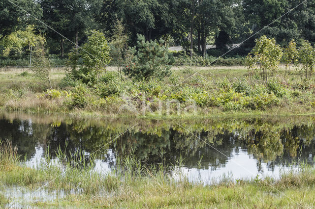 Lagieskamp Naardermeer