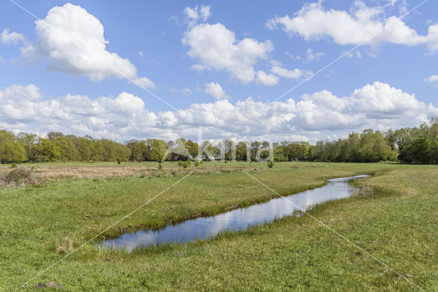 Lagieskamp Naardermeer