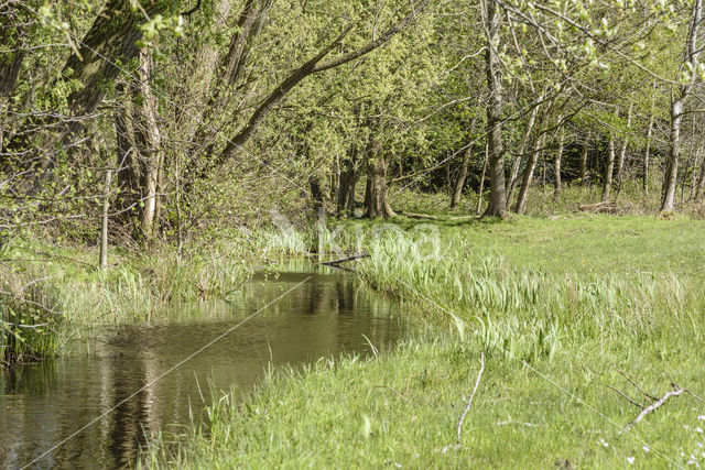 Lagieskamp Naardermeer