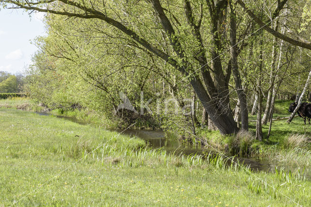 Lagieskamp Naardermeer