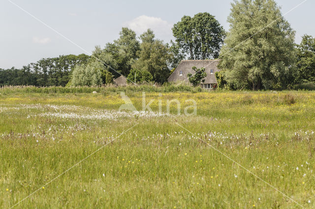 Lagieskamp Naardermeer