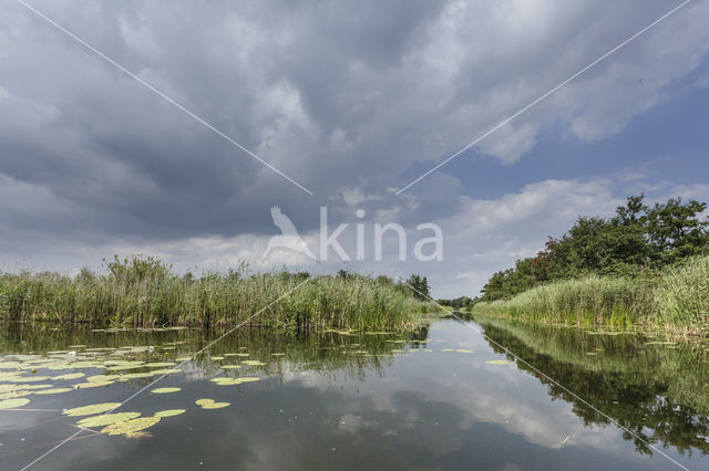 Naardermeer